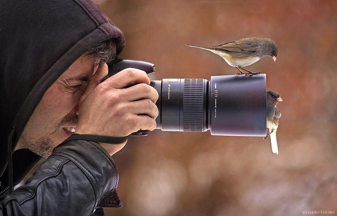 Фотограф пошутил сейчас вылетит птичка схема