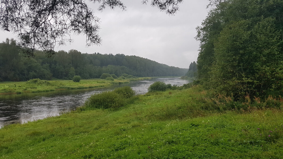 Берег Волги в районе Бобронниково Тверской области.