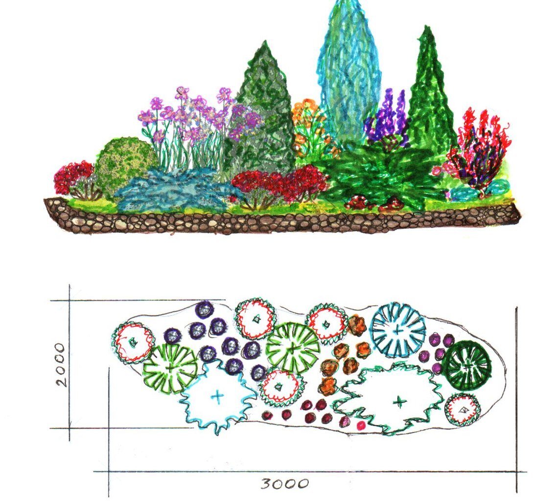 Схема посадки растений на альпийской горке с названиями