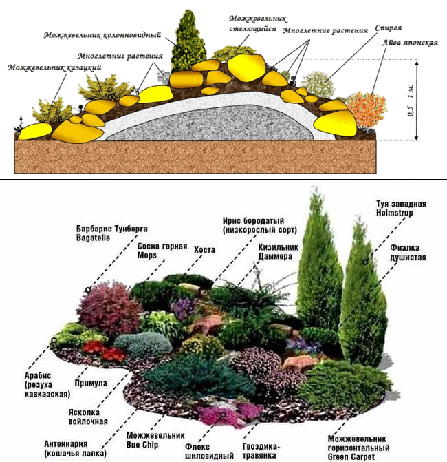 Альпийская горка схема расположения камней и растений