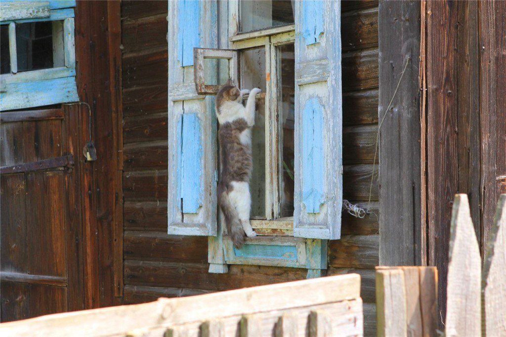 фото взято из интернета.