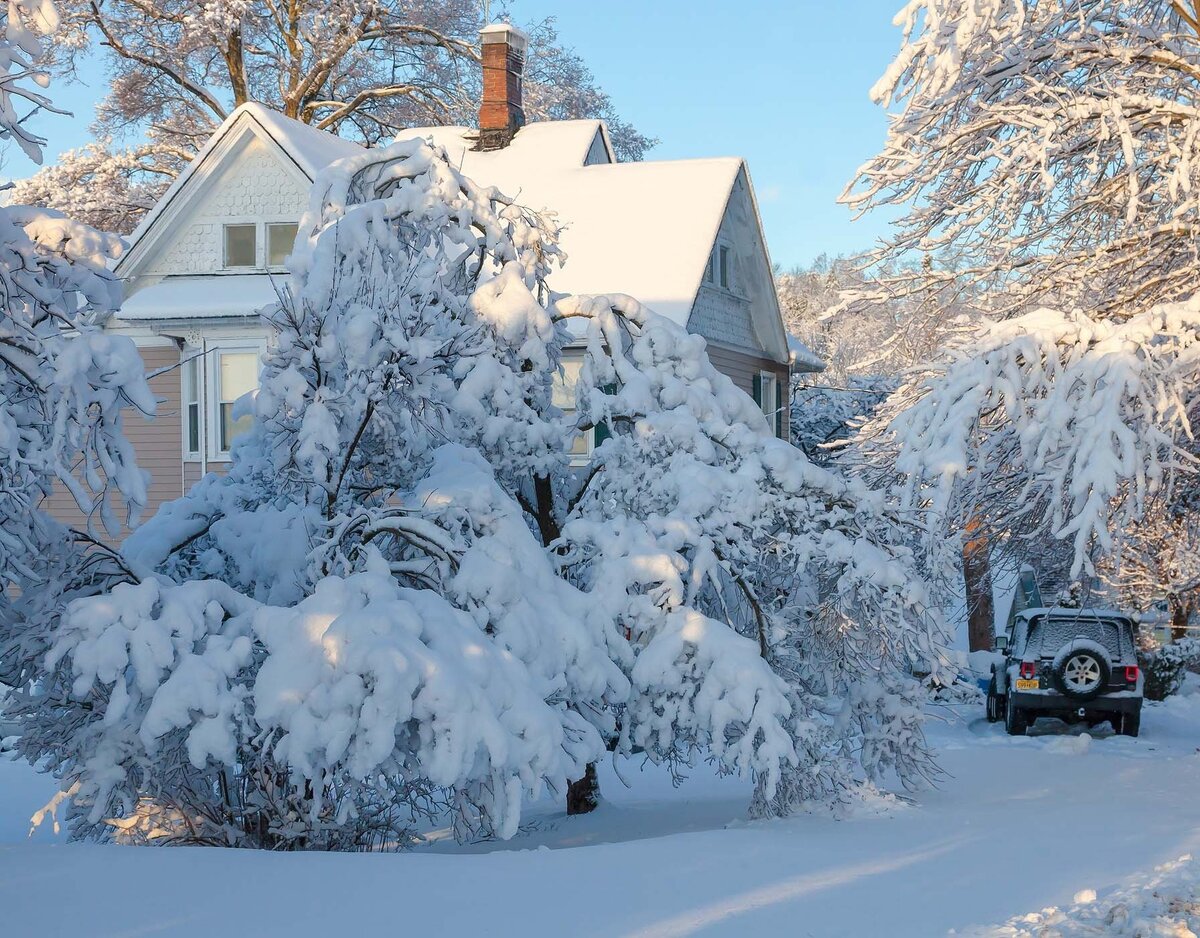 Яндекс картинки