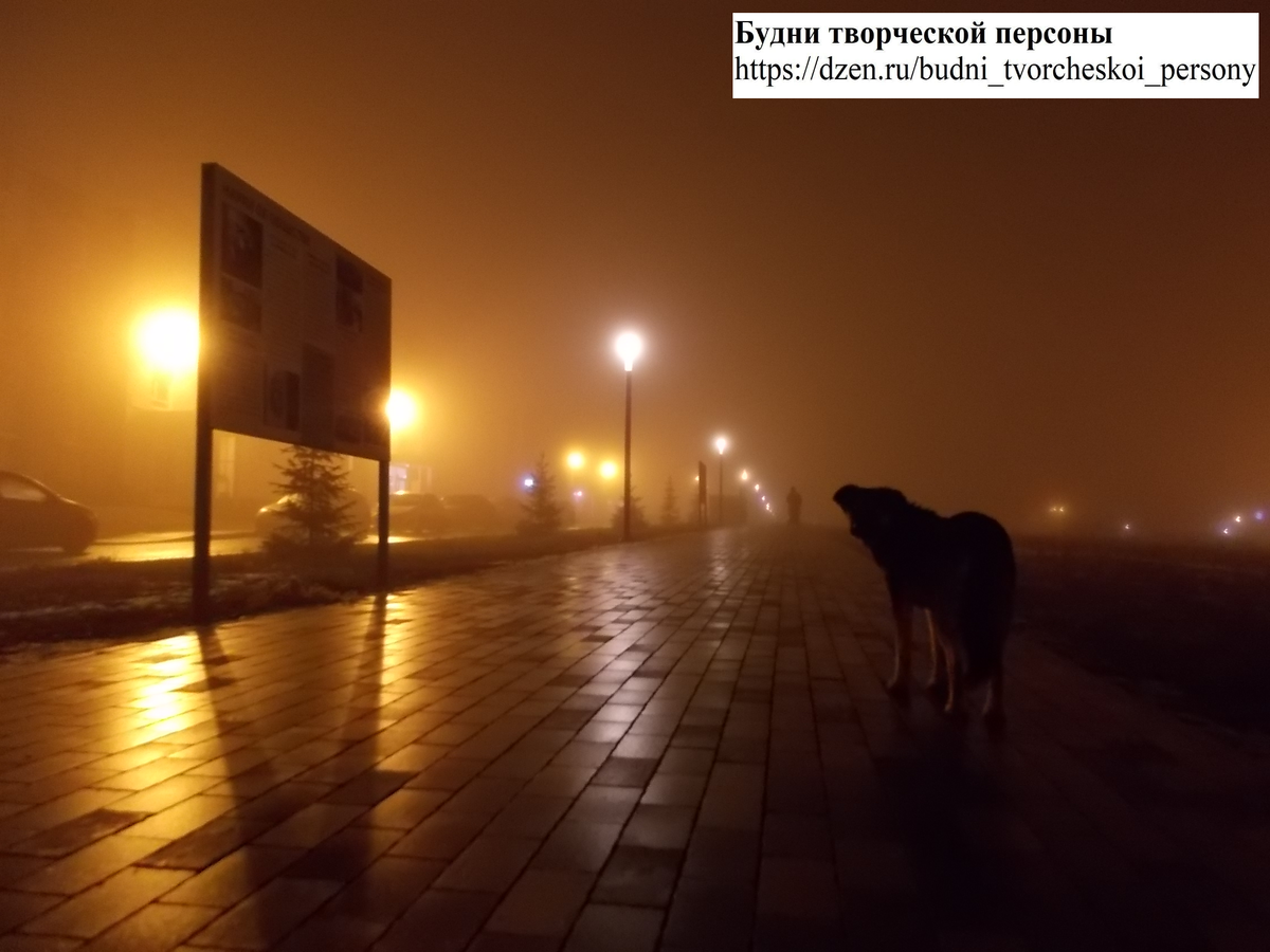 Фото моё, четыре года назад (декабрь 2019-го). Та самая аллея