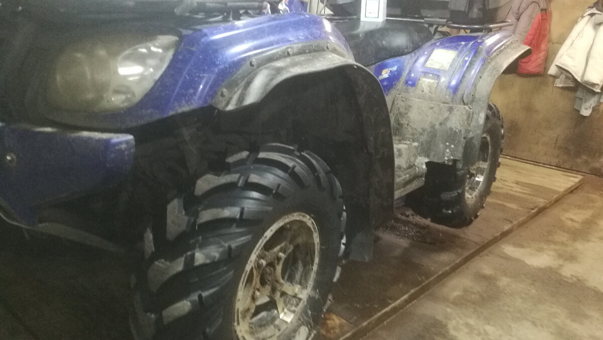 Вот такой красавец