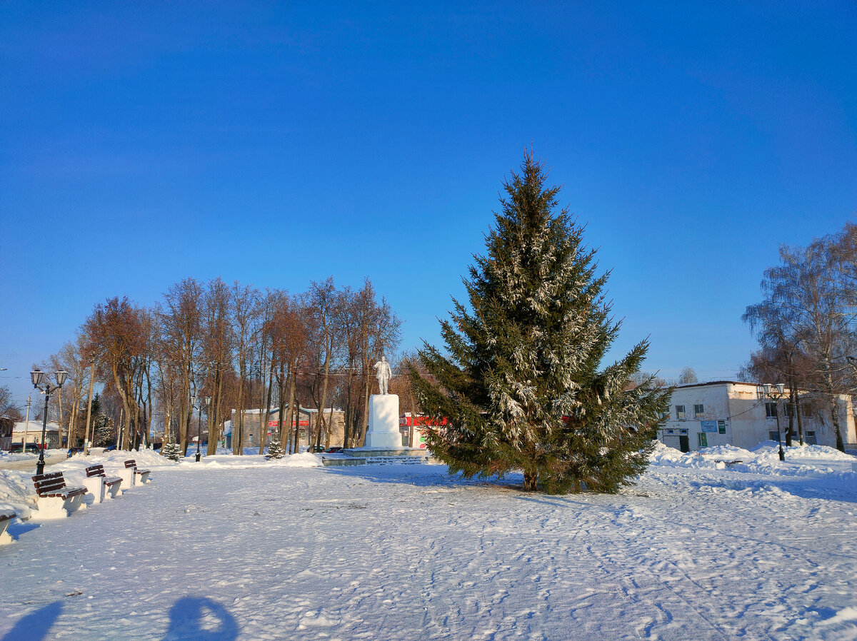 Фото автора. Елка стоит, ждёт игрушек