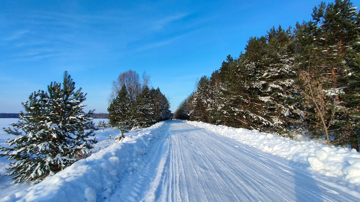 Фото автора. Зимняя дорога