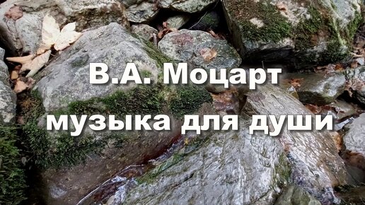 В.А. Моцарт. Концерт для фортепиано с оркестром номер 21 Музыка для души