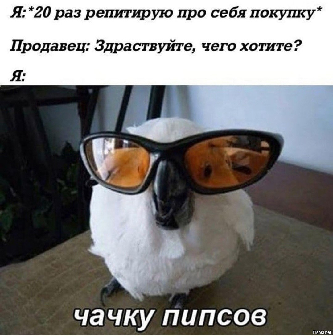 Картинка взята с просторов сети Интернет.