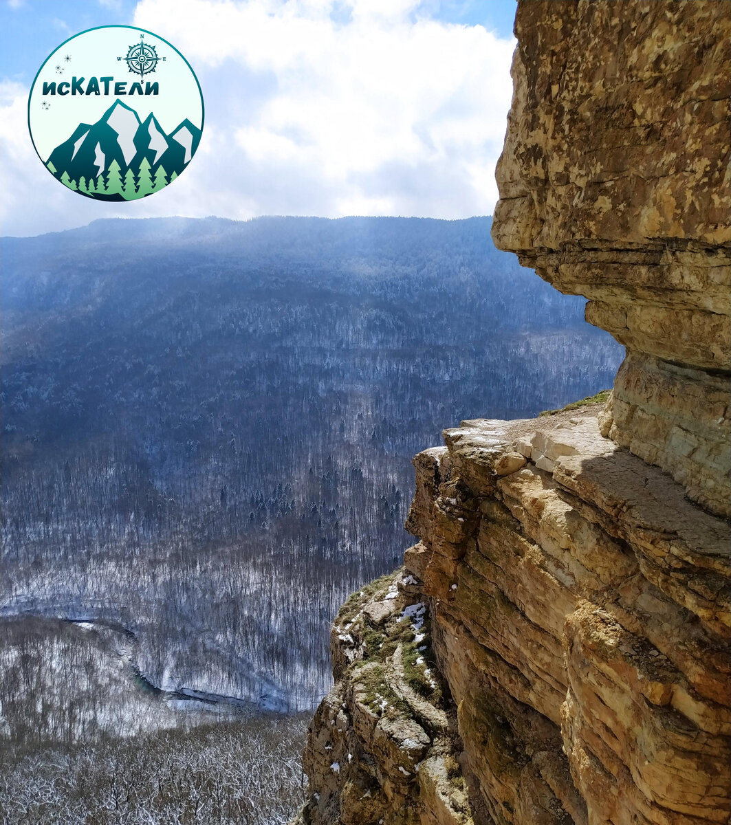 Орлиные полочки