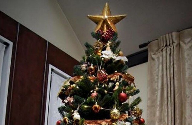    Из картонной коробки   
Источник: «Hometalk»