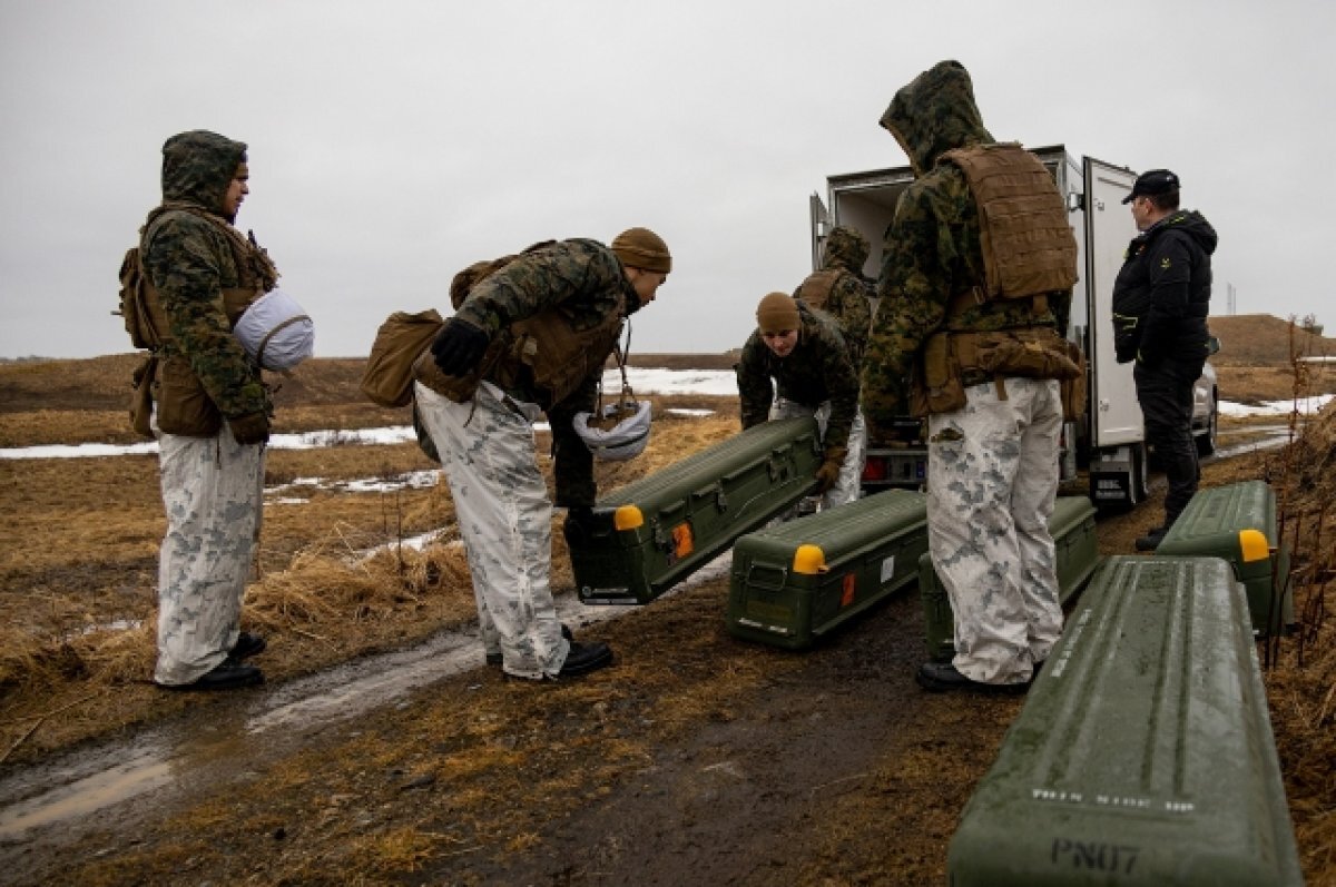    В Норвегии военные тренируются копать могилы из-за конфликта на Украине