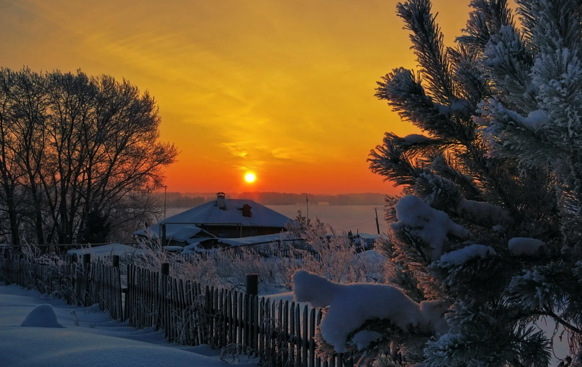 Яндекс картинки