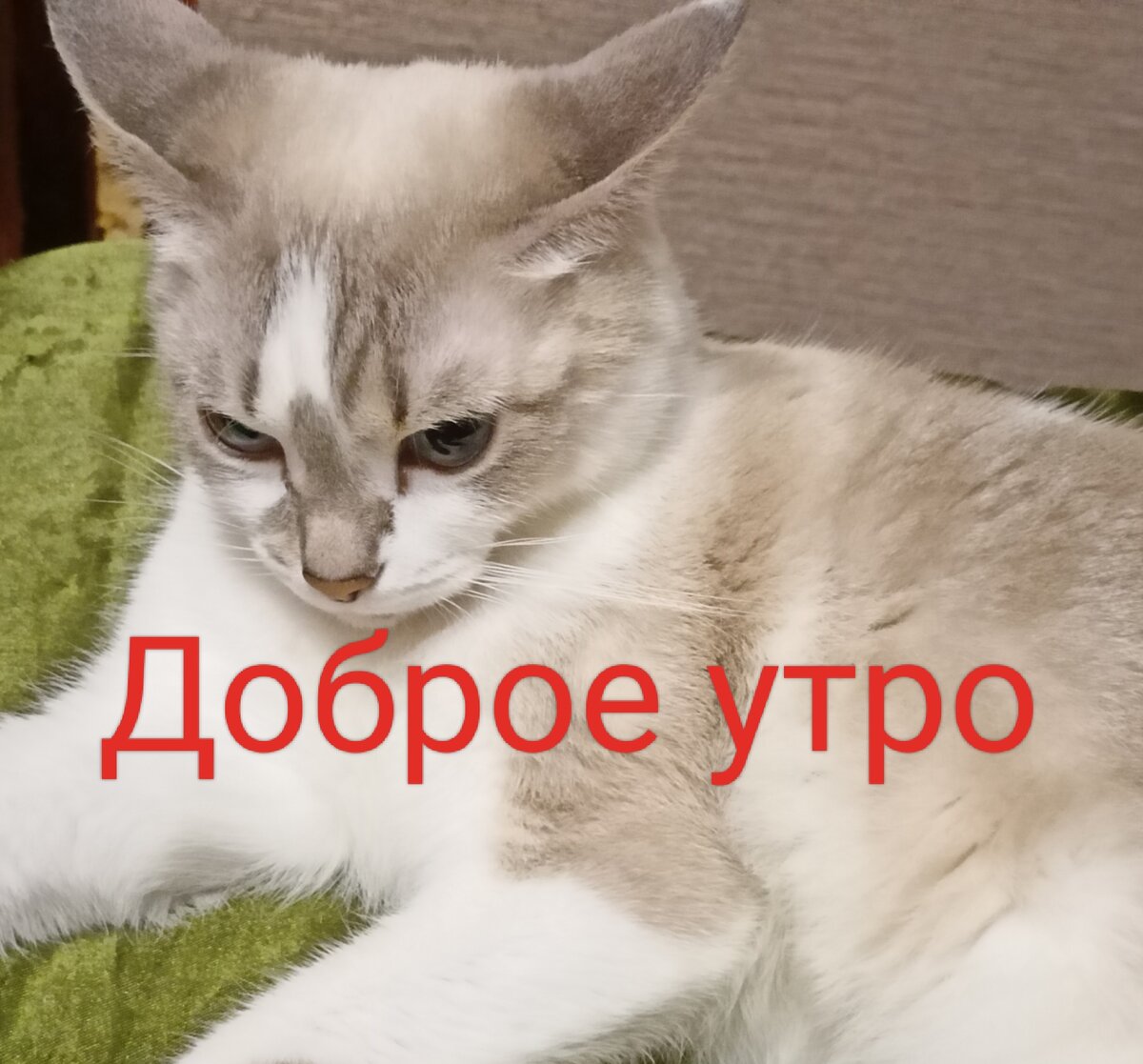 Это Соня