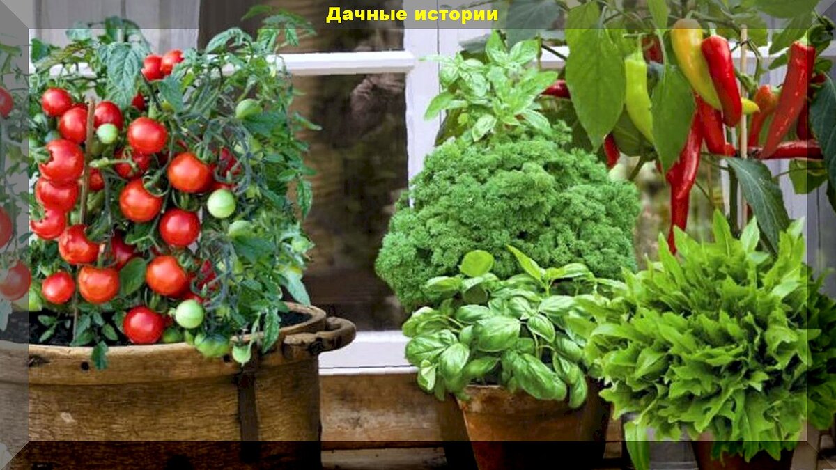 https://vk.com/photo-159774511_457262880