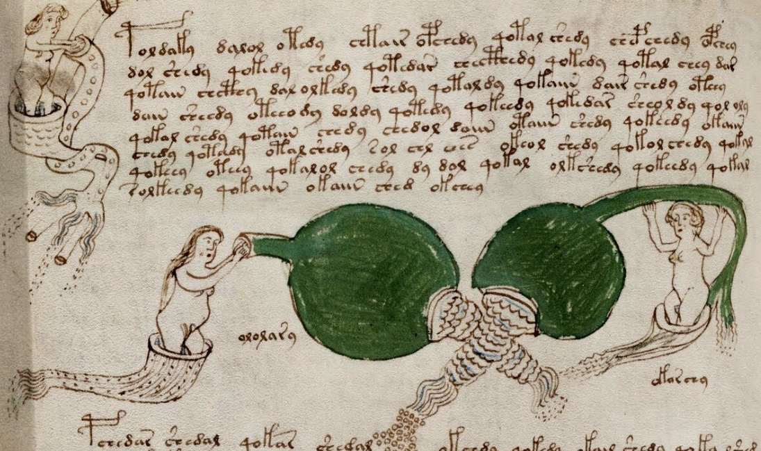 THE VOYNICH MANUSCRIPT ON USB - MYSTERIOUS MEDIEVAL BOOK SECRET LANGUAGE OCCULT 