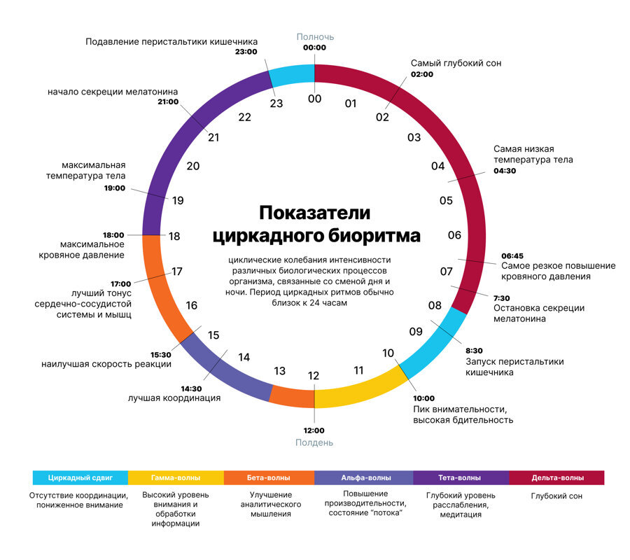 https://doctorsan.ru/media/gallery/img/images/cirkadniy-ritm.jpg
