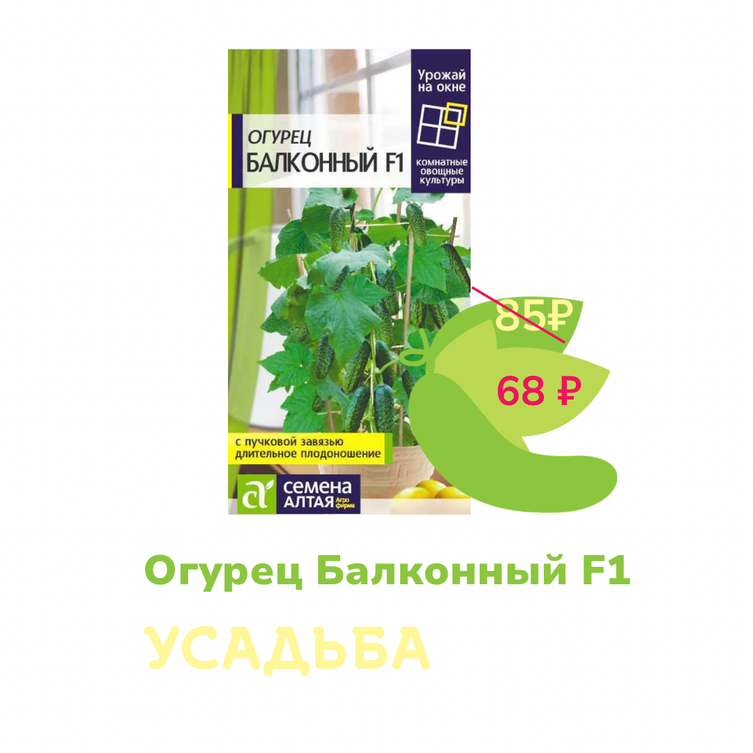 Как устроить огород прямо дома: 9 растений для подоконника