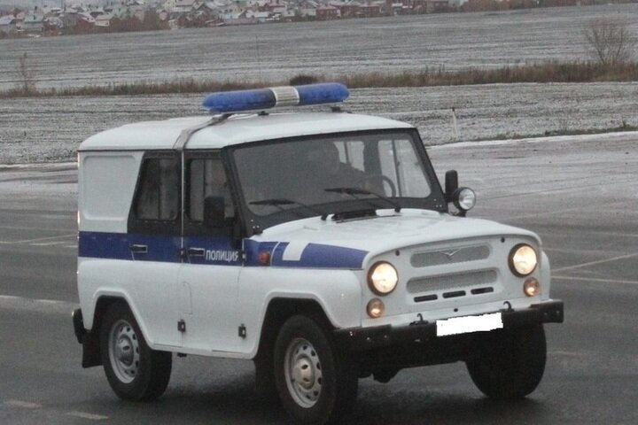 УАЗ полиция прикол