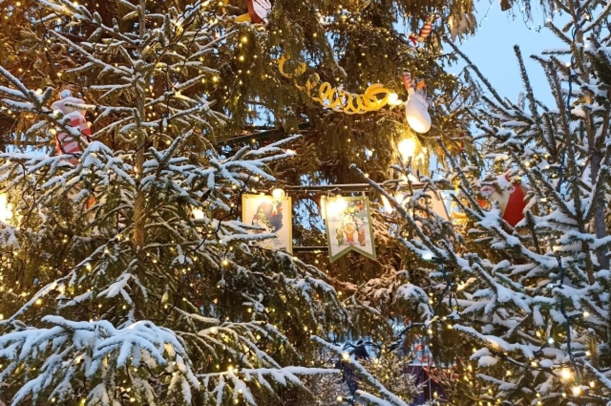    В Твери на карету с лошадьми и украшенную ель планируют потратит 8 млн руб.