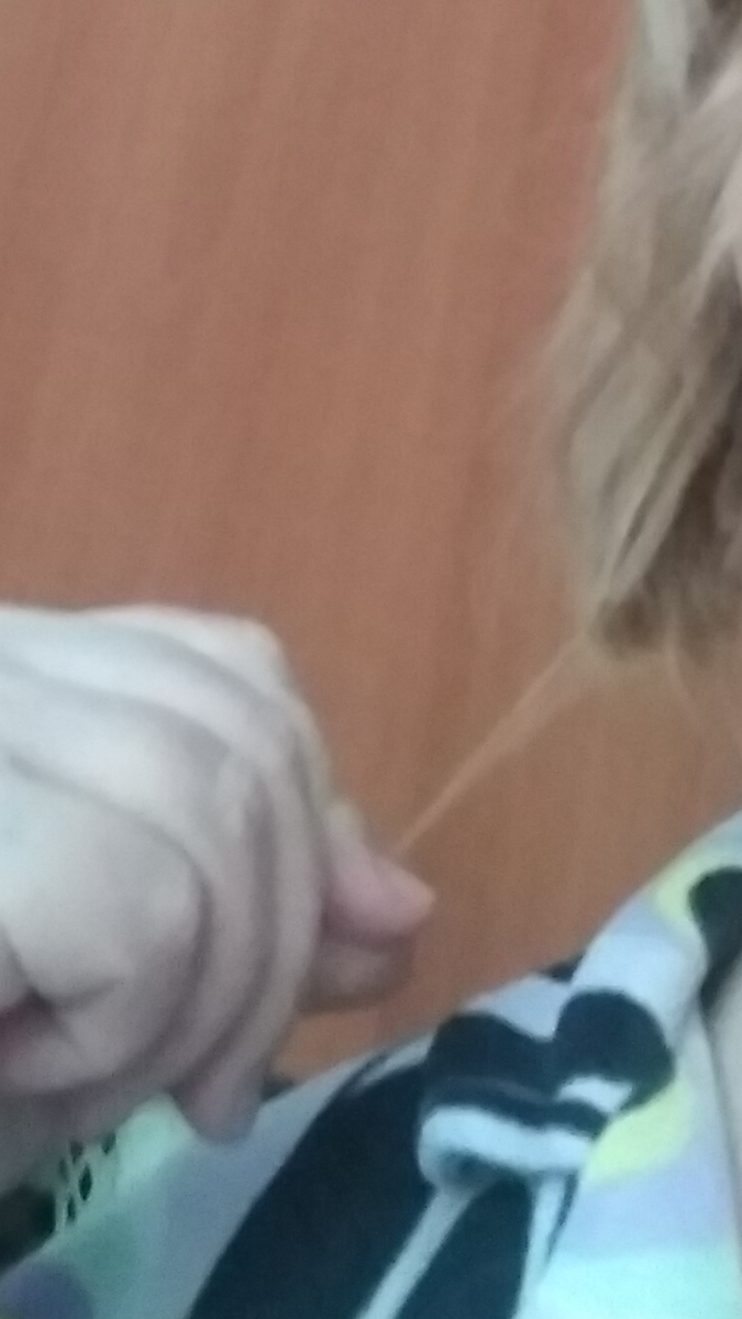 Фото автора. Пришла от мастера