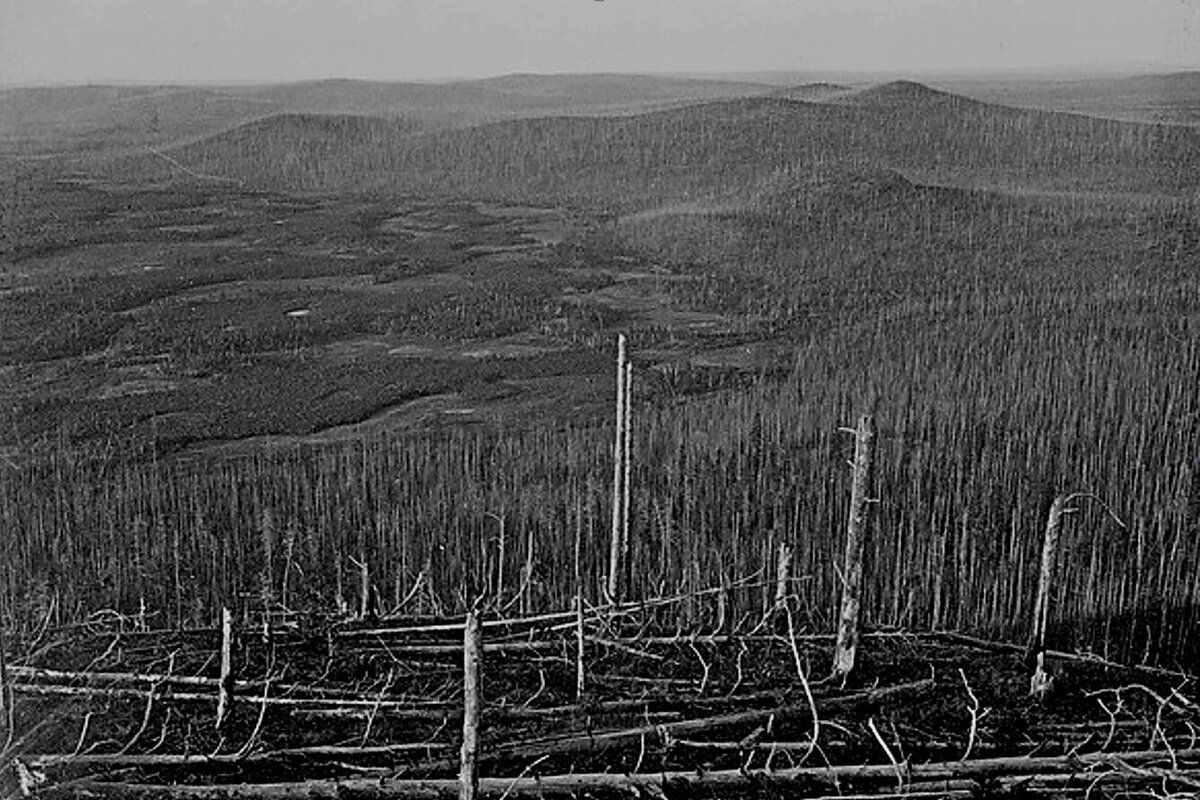 Тунгусский метеорит в 1908. Тунгусский метеорит 1907. Поваленный лес Тунгусский метеорит. Тунгусский метеорит 1908 место падения.