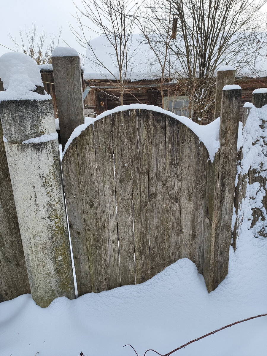 Калитка, которую мы не смогли открыть 