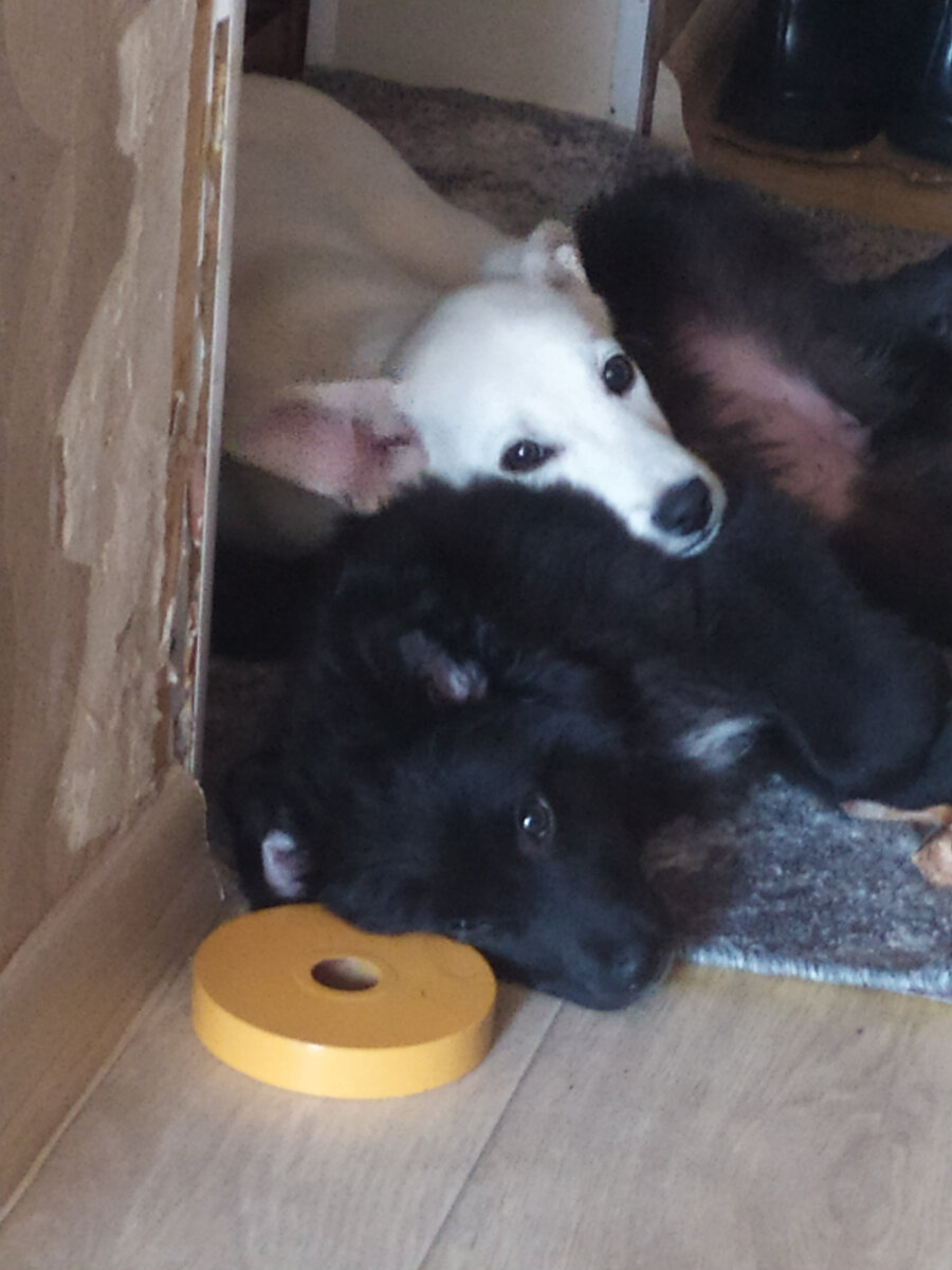 Проснулись