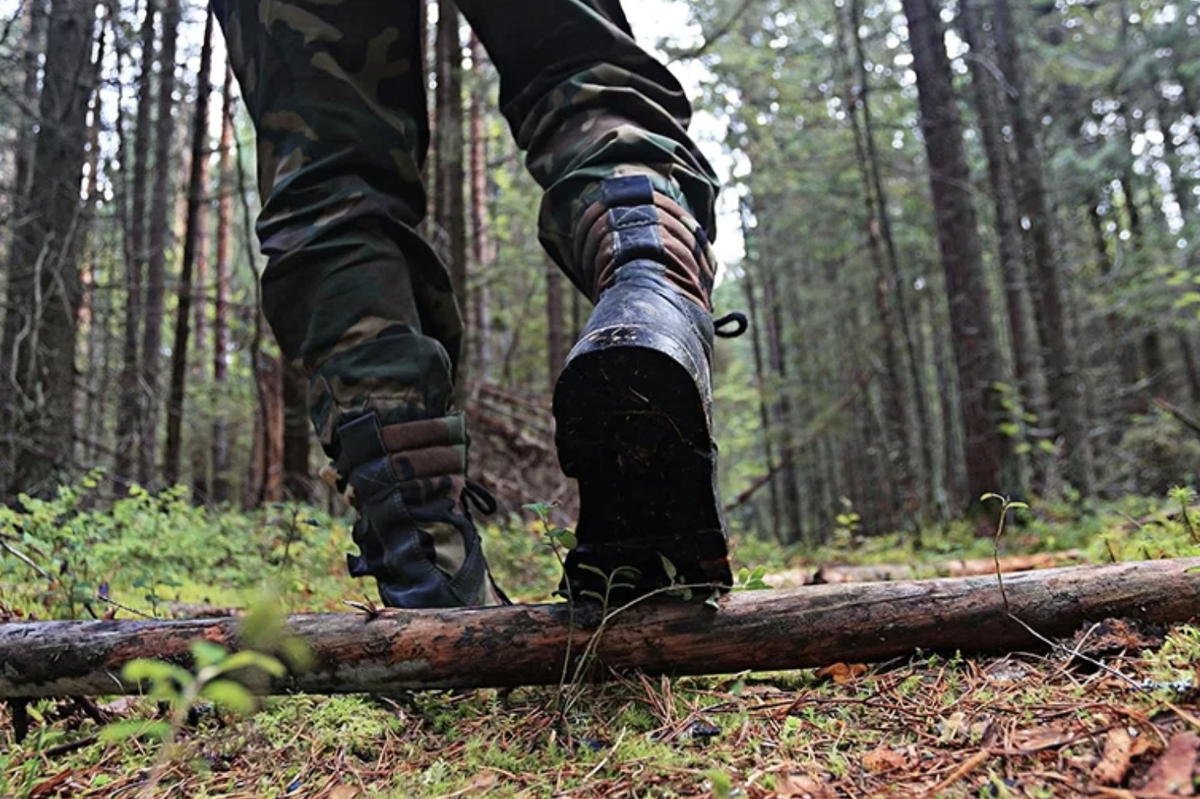 Лесная Одиссея: Встреча с Таинственной Кошкой и Открытие Забытой Поляны