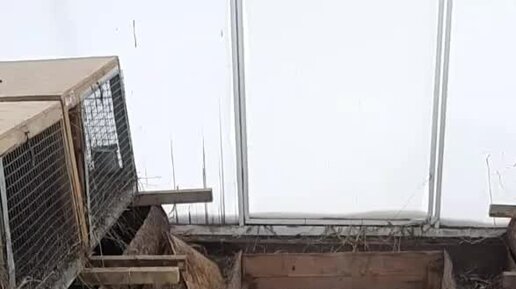 ЛПХ СерНат | Кролики не только быстро растут и плодятся,но и... | Дзен