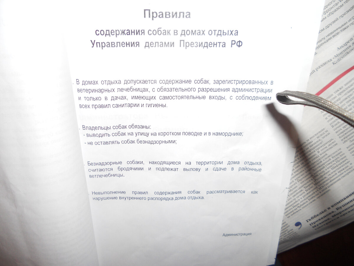 Воспоминание об отдыхе в 2013 году в «Дачном Поселке «Новые горки» |  Воспоминание обо всем. О прежней жизни и о нынешней. | Дзен