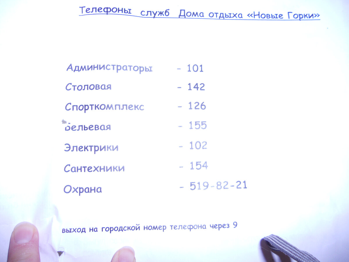 Воспоминание об отдыхе в 2013 году в «Дачном Поселке «Новые горки» |  Воспоминание обо всем. О прежней жизни и о нынешней. | Дзен