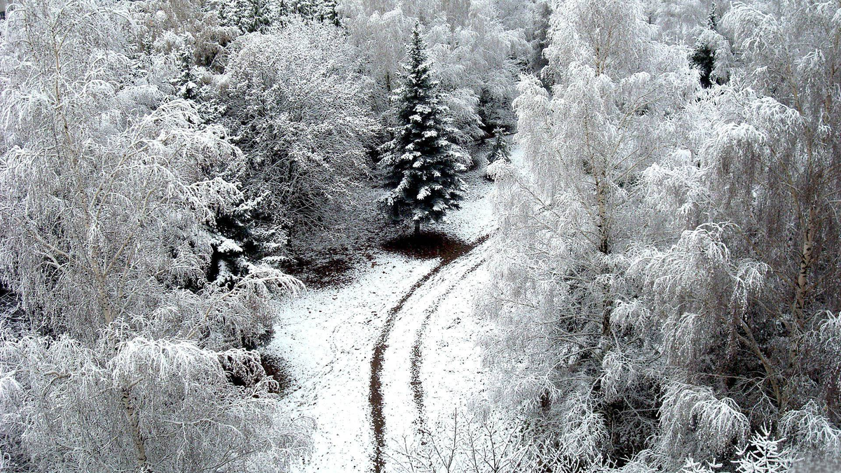 Яндекс Картинки.