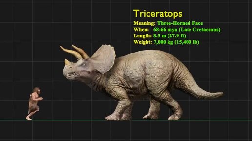 Размеры некоторых вымерших животных. Забавное видео. Приятного просмотра!