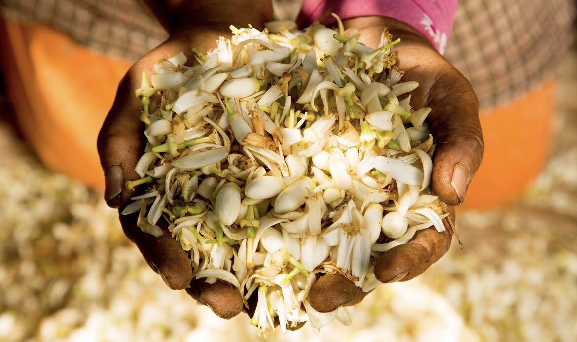 Фото из запрещенной сети