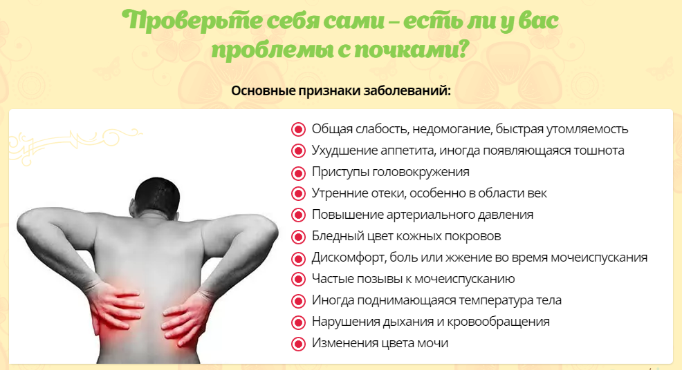 Как определить болят ли почки. Как понять что болят почки симптомы у женщин. как понятьчтр болит почуа. как понять что болят почк.