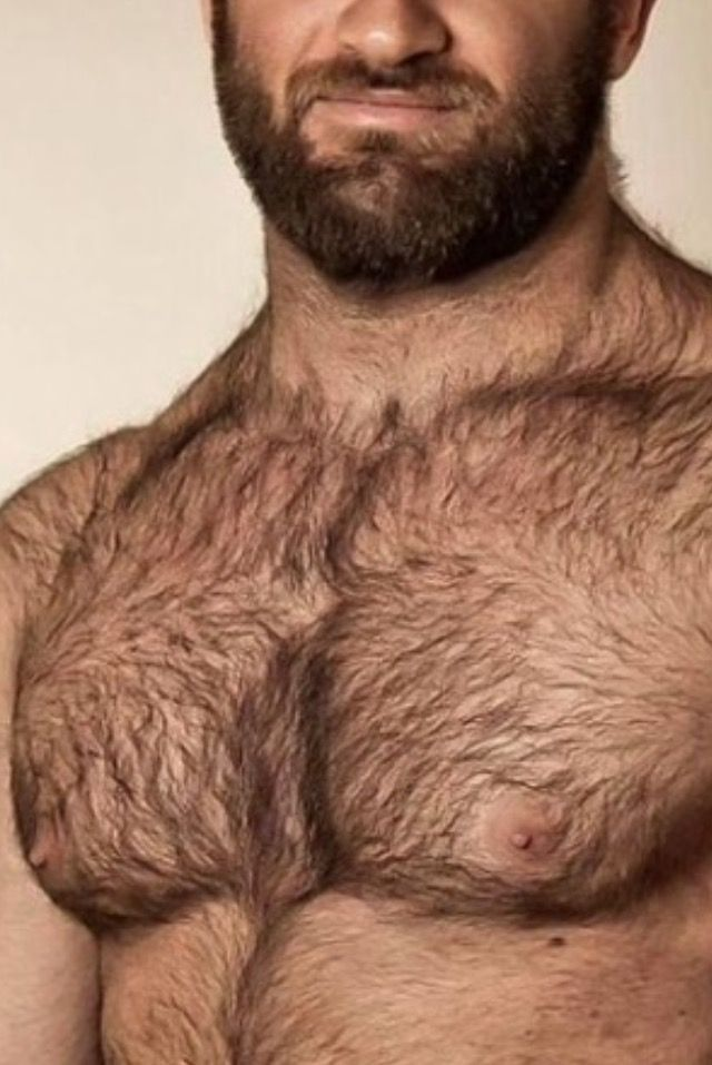красивые волосатые парни. растительность на теле мужчины. волосатый торс. растительность на теле мужчины. обильная растительность на теле у мужчин.