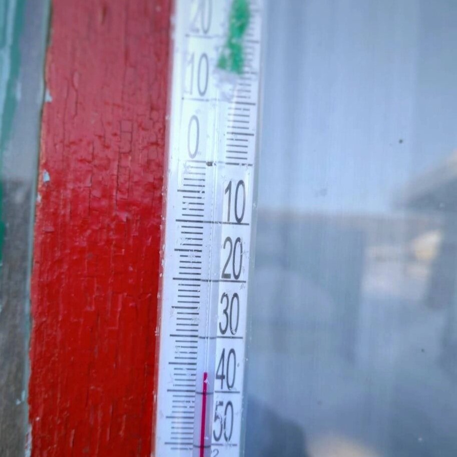 Фото автора.