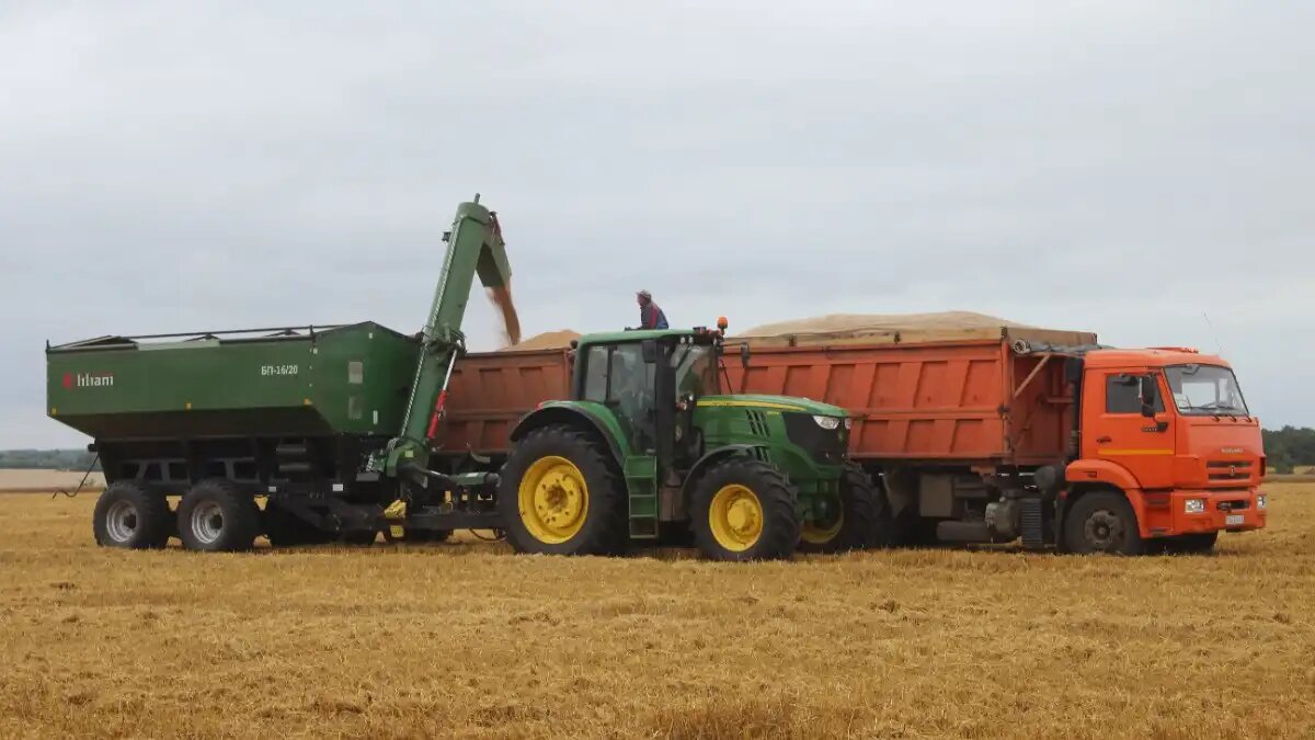 Фото:glavagronom.ru ИКАР спрогнозировал сбор зерна в РФ в следующем году