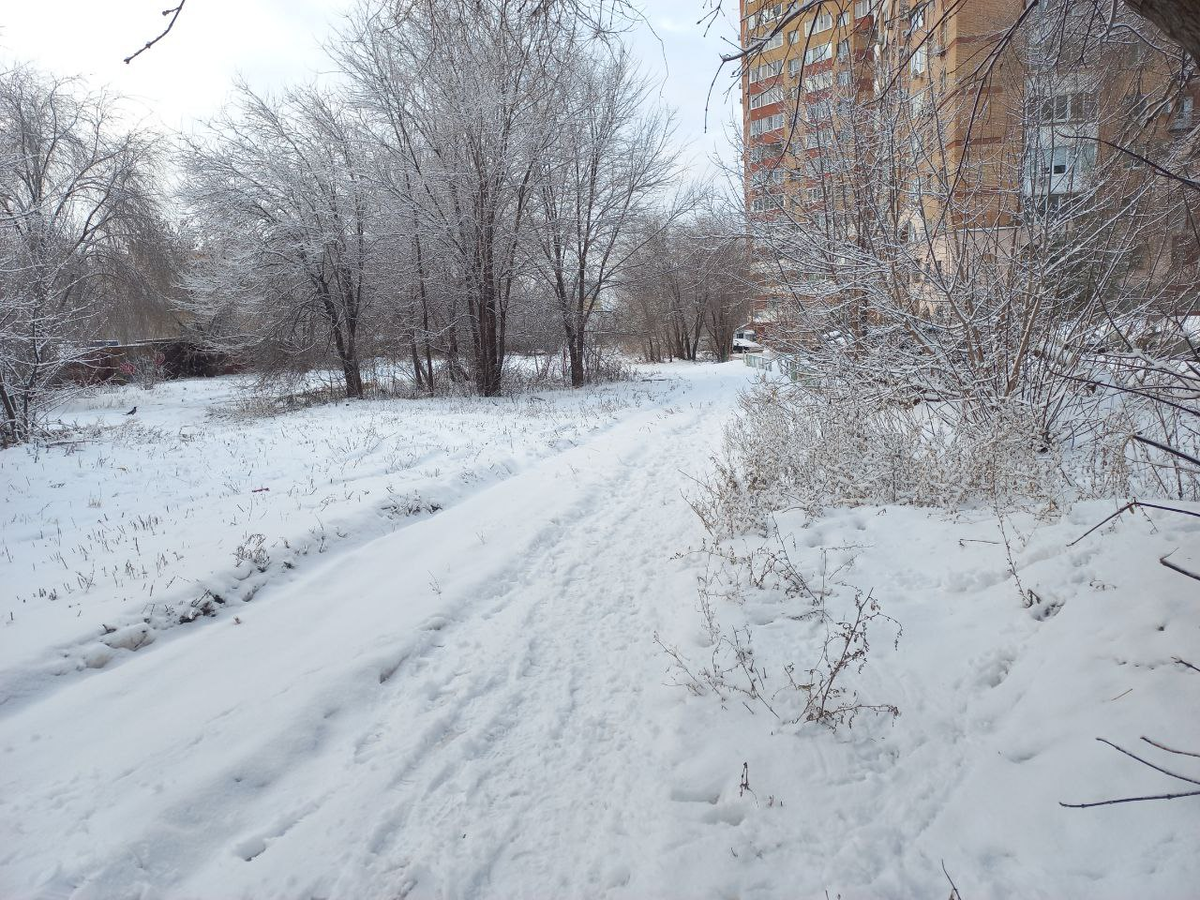 Фото автора.