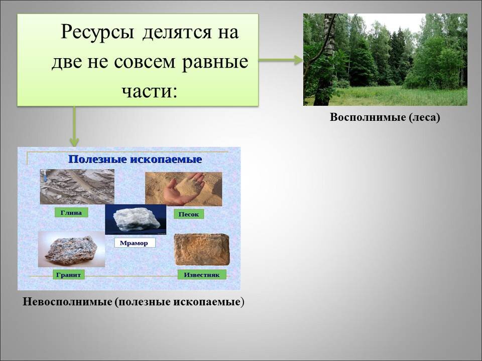 Делится на части примеры
