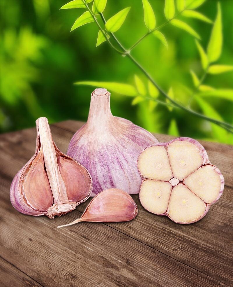 Из открытых источников