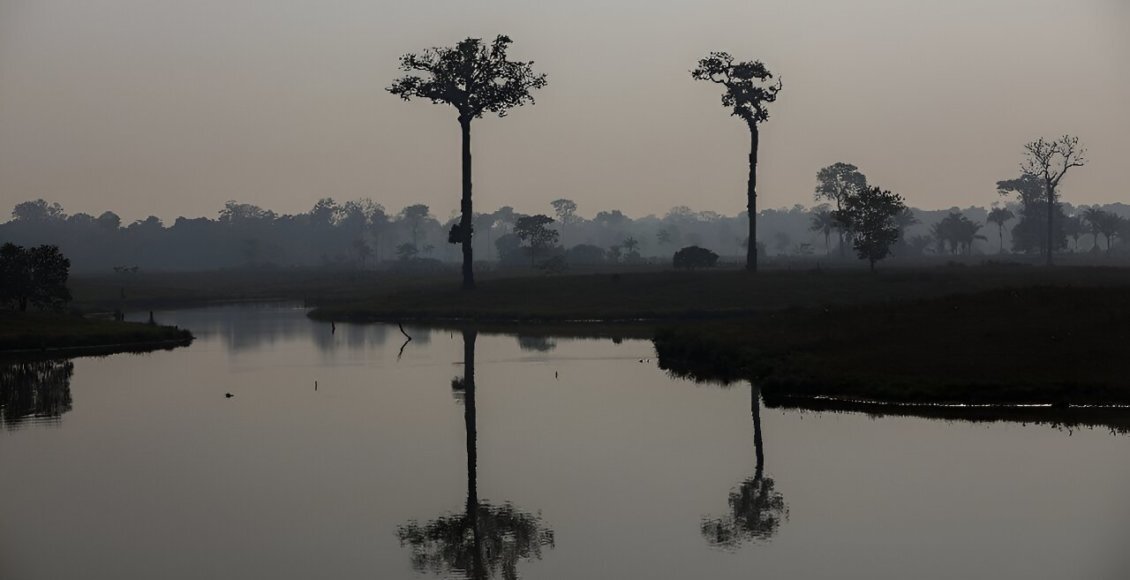    Фото: AFP