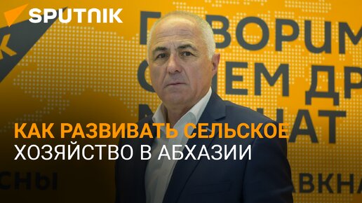 Акцент на развитие: как поднимать сельское хозяйство Абхазии