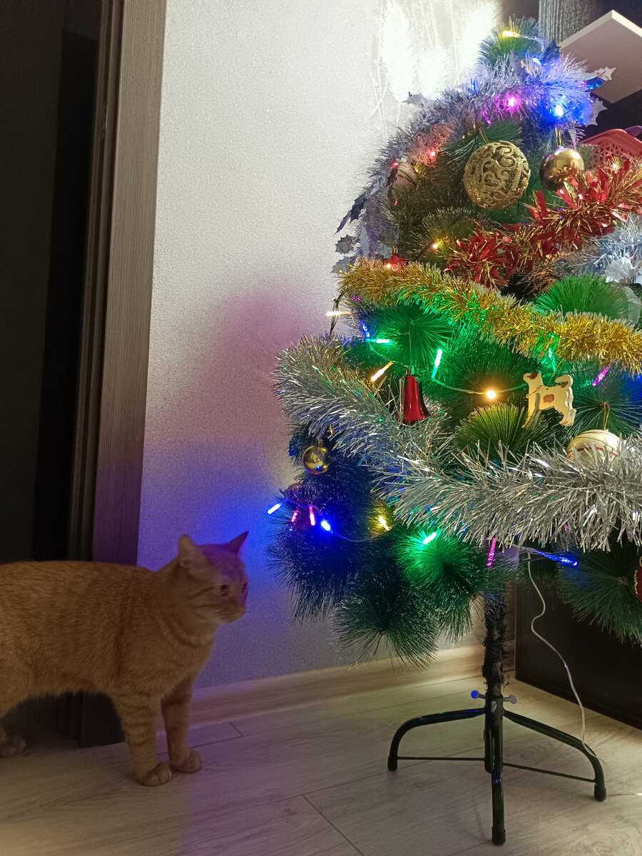 Ну как вам? Хорошо я позирую!?