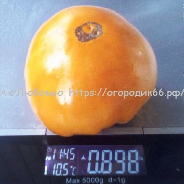  Orange Strawberry