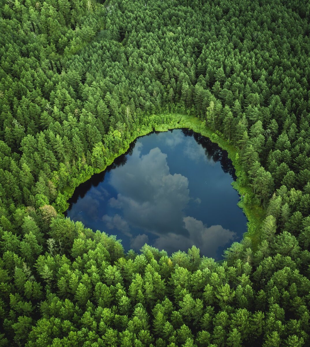 озеро радужное рязанская область. озеро можно ли проверить. озеро джексон вайоминг сша площадь. озеро можно ли проверить. озеро валлова.