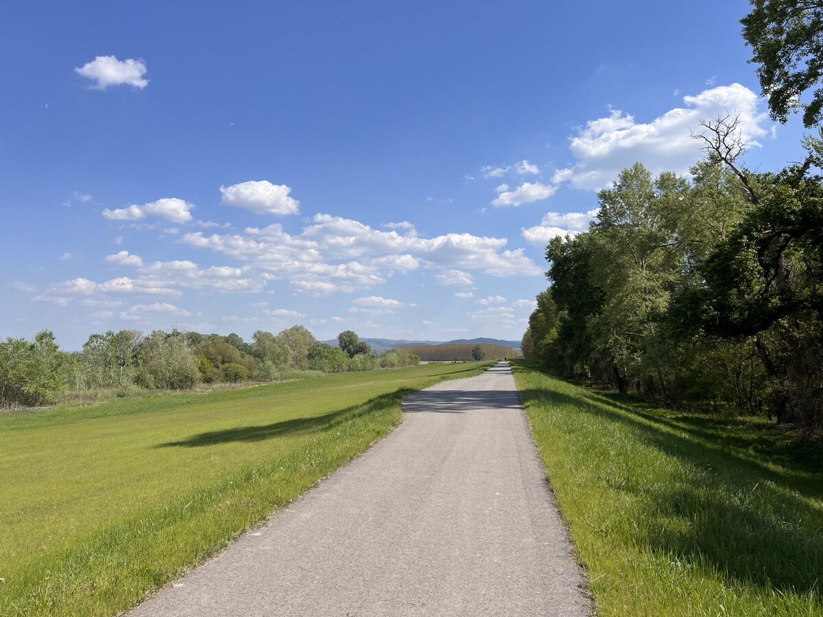 Велодорожка "Маршрут №6"