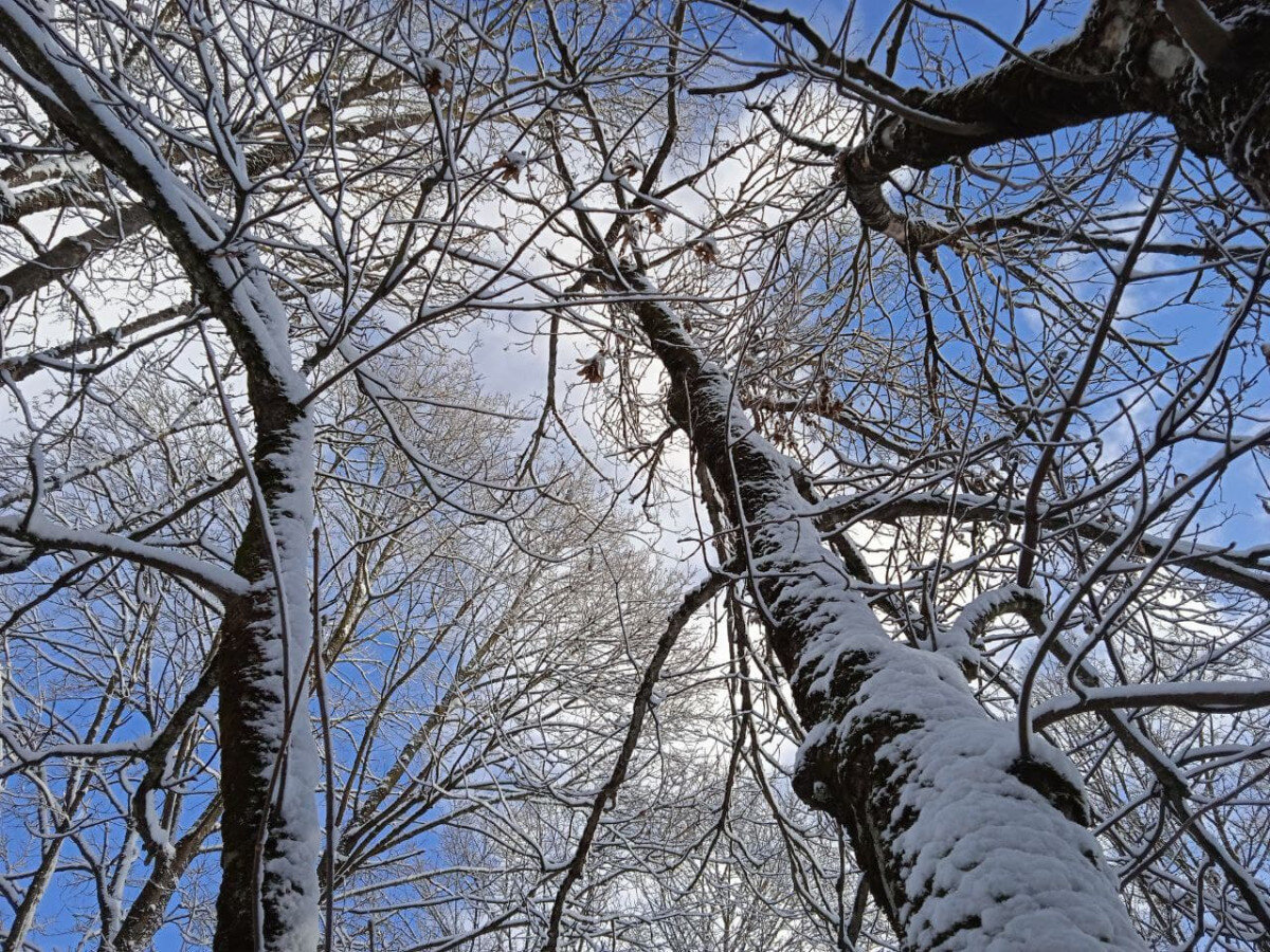   ГТРК "Ставрополье"