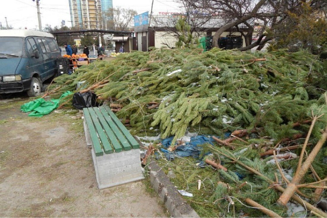 украшение могил зимой. елка на кладбище. елочка на кладбище. ставят ли елку на кладбище. январские кладбища елок.