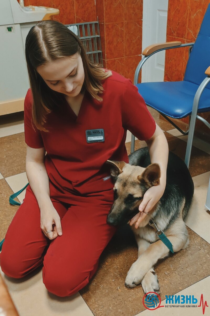 Мария Александровна Сенина - ветеринарный врач ветклиники в Калуге "Жизнь" и собака Ева.